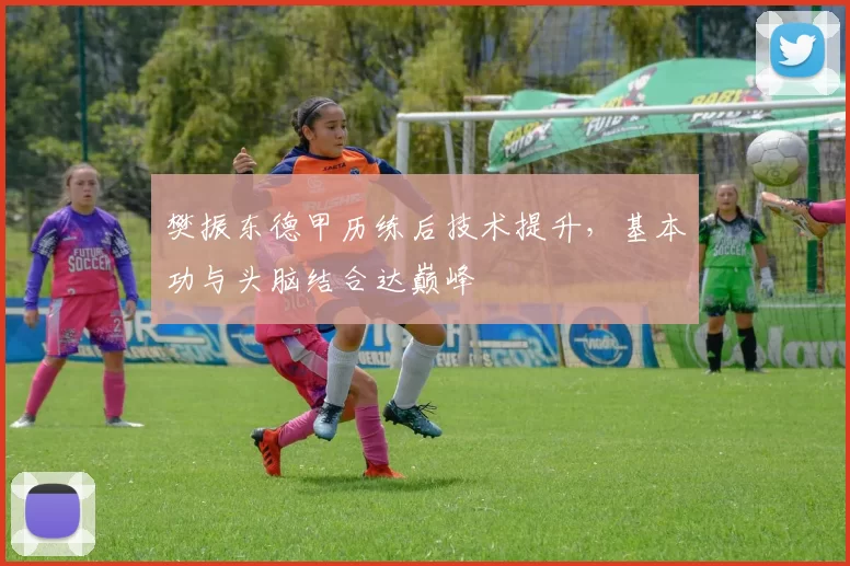 樊振东德甲历练后技术提升，基本功与头脑结合达巅峰