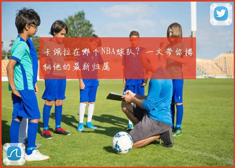 卡佩拉在哪个NBA球队？一文带你揭秘他的最新归属