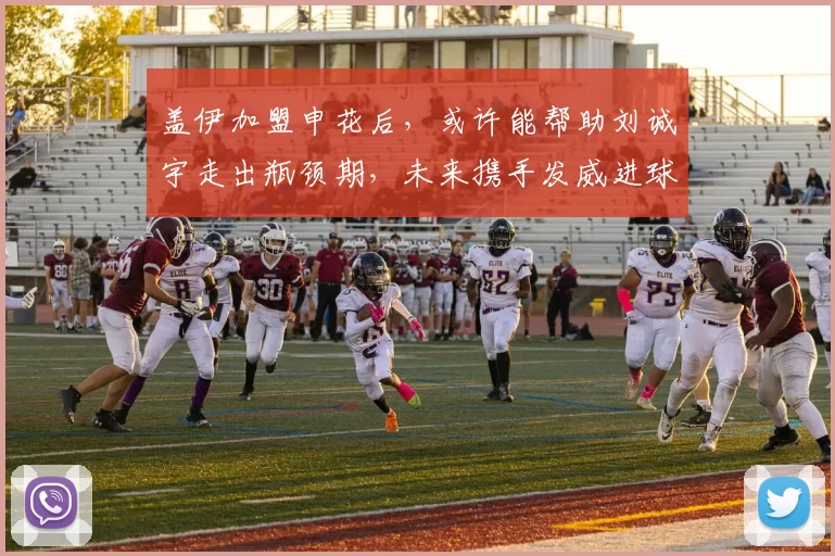 盖伊加盟申花后，或许能帮助刘诚宇走出瓶颈期，未来携手发威进球