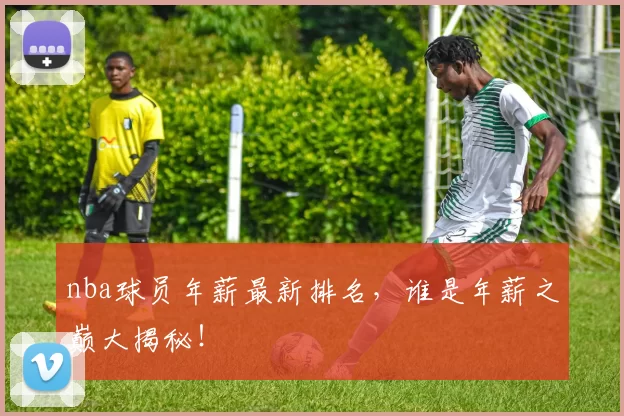 nba球员年薪最新排名，谁是年薪之巅大揭秘！
