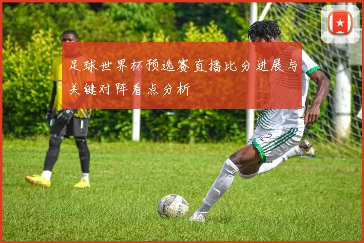 足球世界杯预选赛直播比分进展与关键对阵看点分析