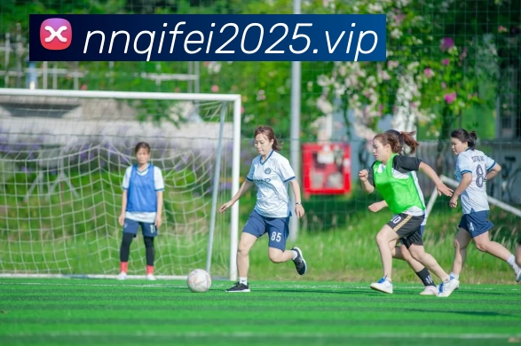 辅助工具 辅助工具